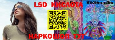 стафф Донской