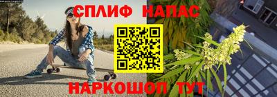 spice Дубна