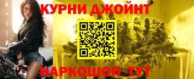 spice Дубна