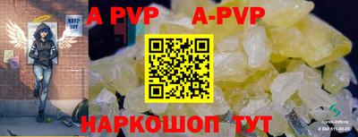 стафф Донской