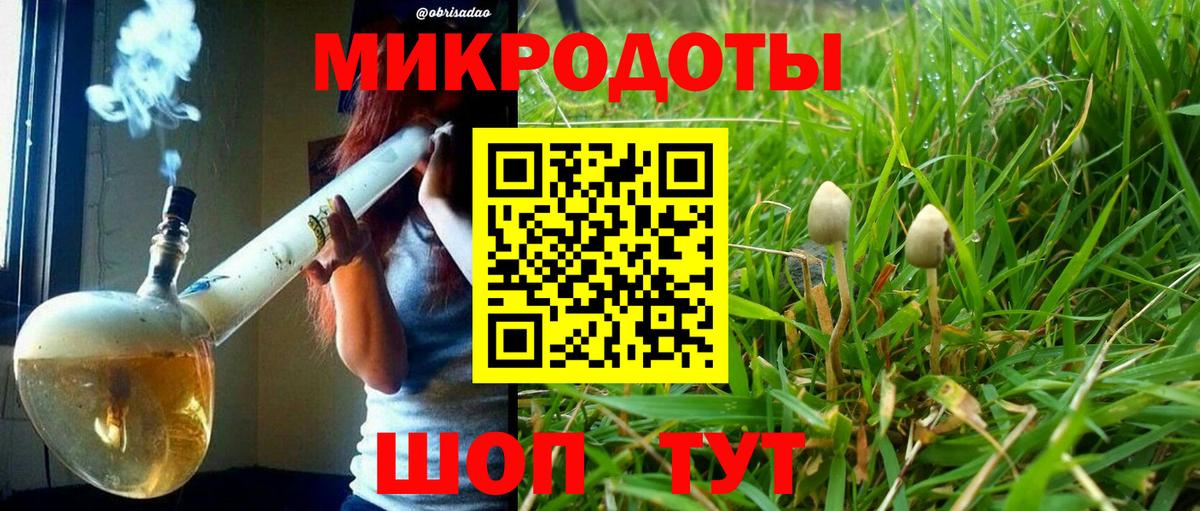 Псилоцибиновые грибы MAGIC MUSHROOMS Лысьва