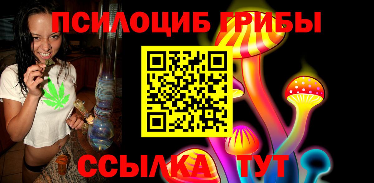 Галлюциногенные грибы Psilocybe  Вход с VPN  Псилоцибиновые грибы прущие грибы  Лысьва 